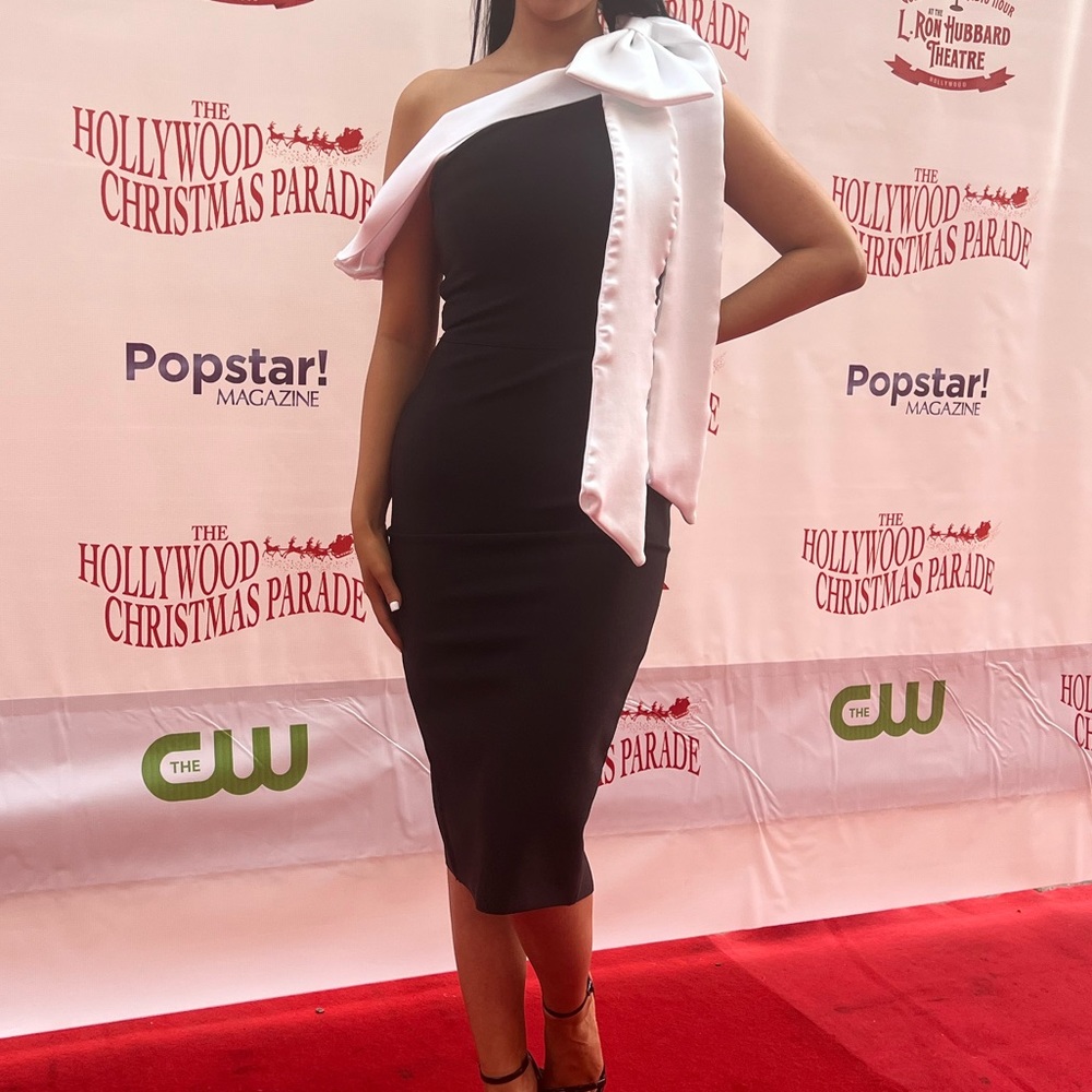 Black and white elegant dress